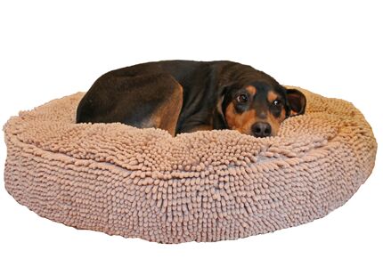 Best in Breed